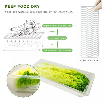 Food Storage Container with Removable Drain Plate and Lid 1500 ml (Pack of 2Pc)