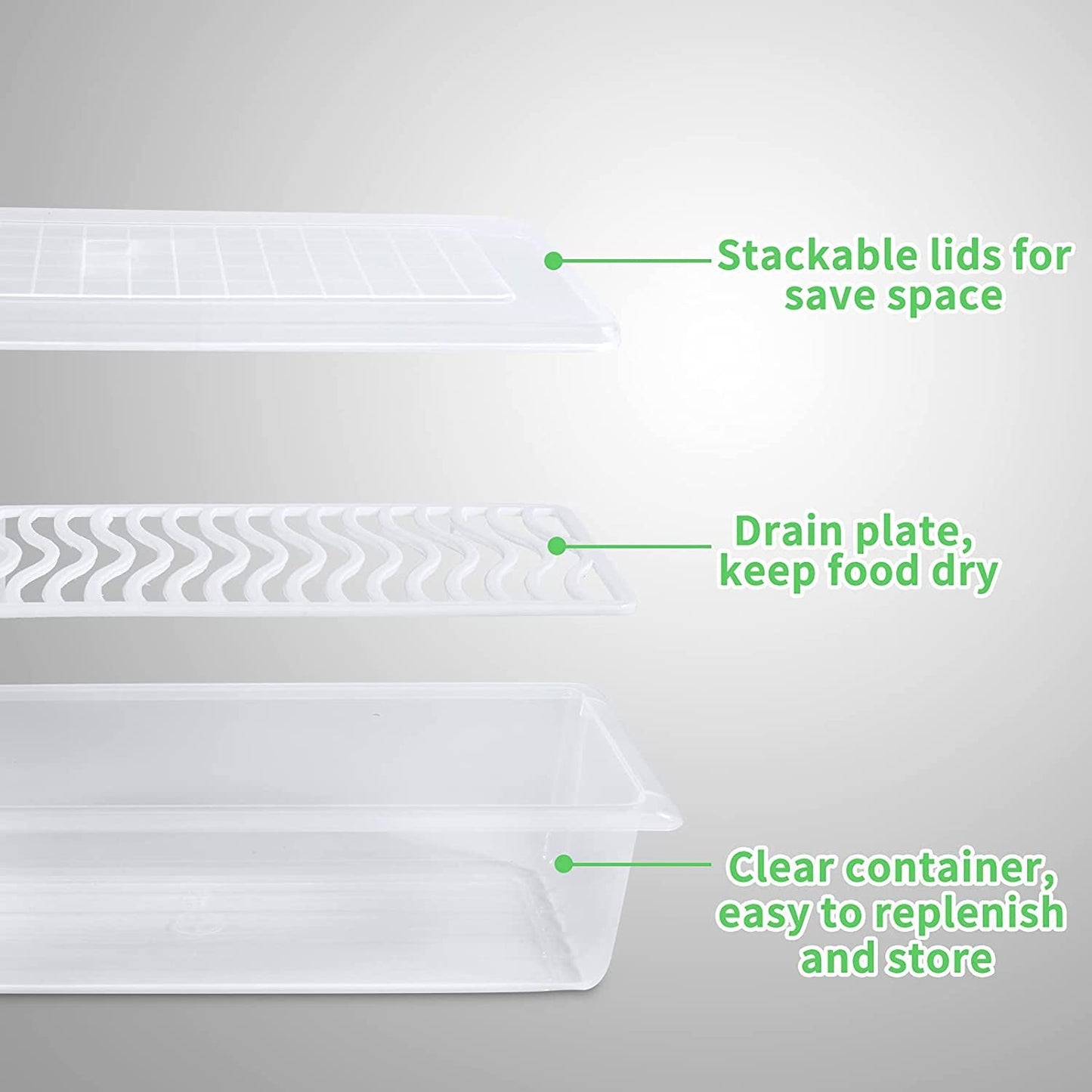 Food Storage Container with Removable Drain Plate and Lid 1500 ml (Pack of 2Pc)